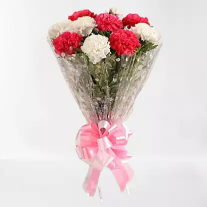 White N Pink carnation